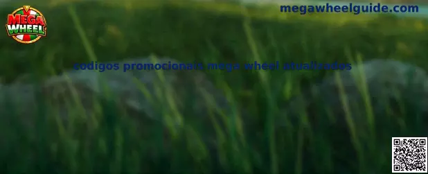 Cupones y codigos promocionais mega wheel atualizados en plataformas de casino